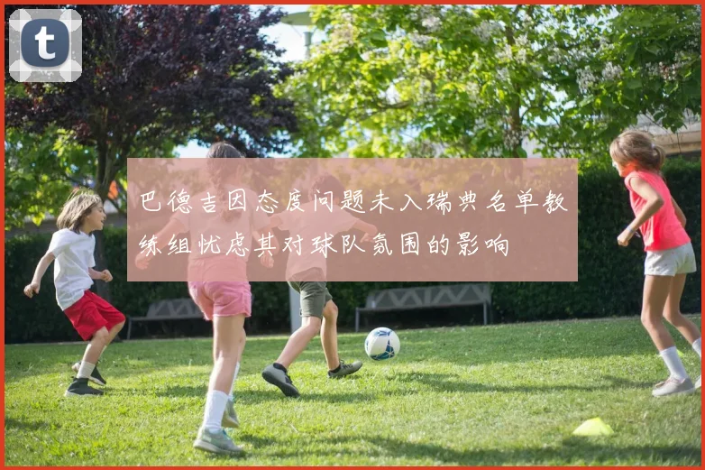 巴德吉因态度问题未入瑞典名单教练组忧虑其对球队氛围的影响