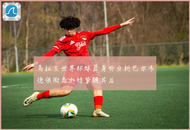 乌拉圭世界杯球员身价分析巴尔韦德领衔乌加特紧随其后
